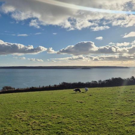 Coast Path Camping Saint Ishmaels  エクステリア 写真