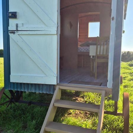 Coast Path Camping Saint Ishmaels  エクステリア 写真