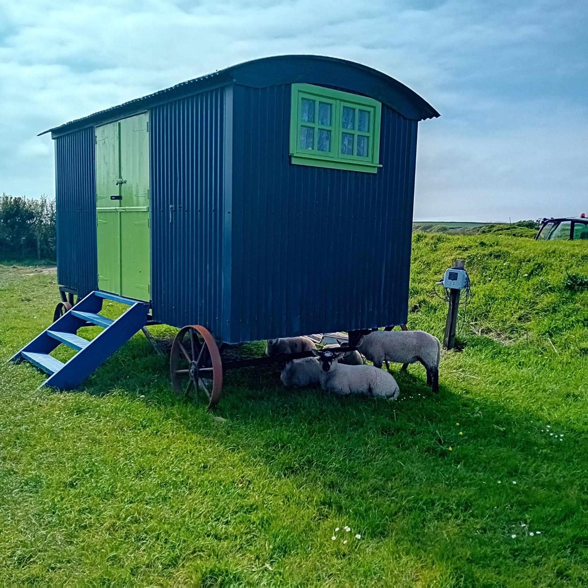 Coast Path Camping Saint Ishmaels  エクステリア 写真