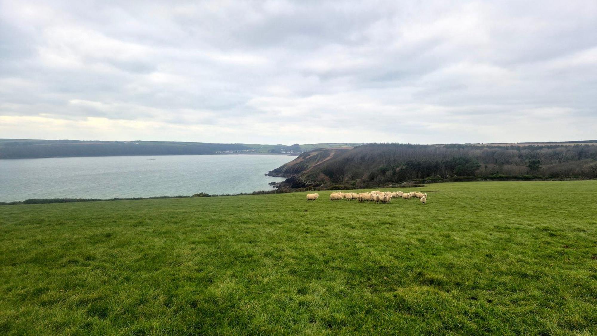 Coast Path Camping Saint Ishmaels  エクステリア 写真